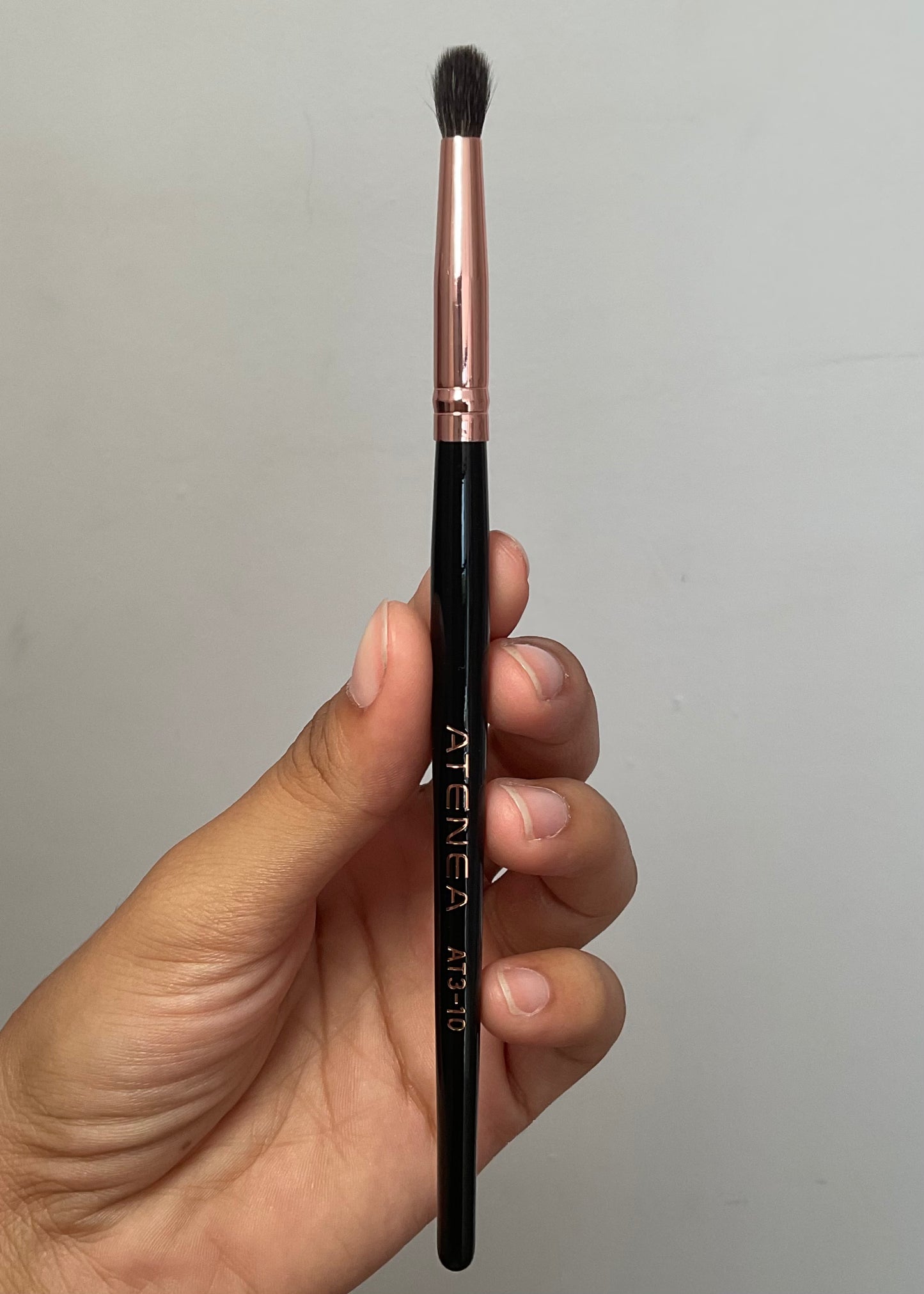 Brochas individuales atenea AT3