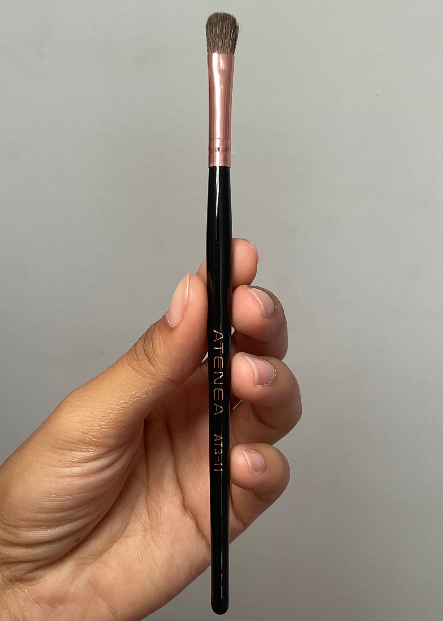 Brochas individuales atenea AT3