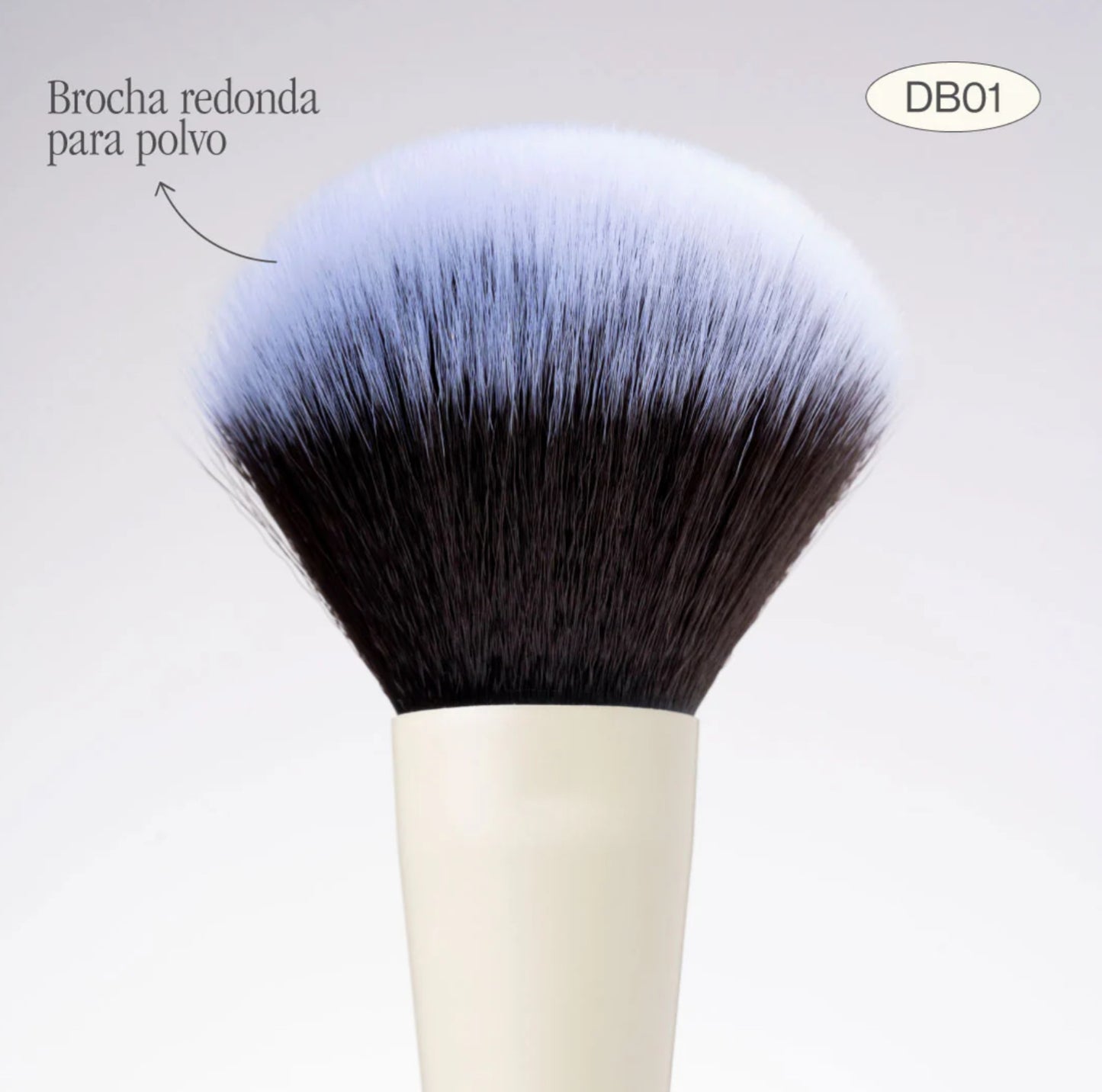 Brocha dúo para polvo & rubor DB01 Atenea