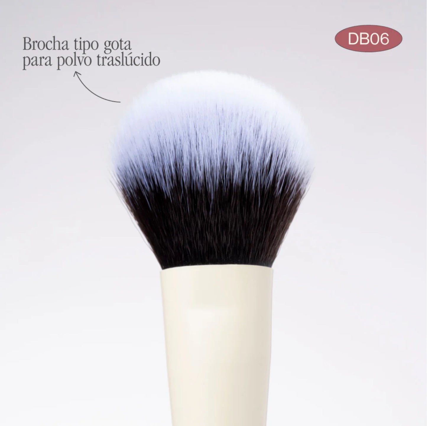 Brocha dúo para rubor/iluminador/polvo suelto & contornos DB06 Atenea